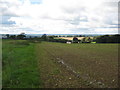 Above Hall Barn Farm