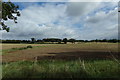 TL9062 : Farmland off Almshouse Road by Geographer