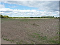 SJ4805 : Field of stubble north of Grove Farm by Richard Law