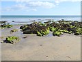 X3193 : Coastal rocks on Clonea Strand by Oliver Dixon