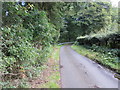 The road to Laverhay near to The Tongue