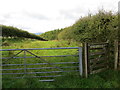 Gated entry into an enclosed footpath near to Hass Plantation