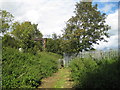 Footpath by the railway