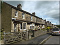 Houses in Princes Road