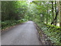 Road heading up Shinnel Glen at Stenhouse Wood