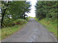 Track through forestry to Appin