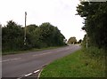 Approach to the A11 on Stanfield Road