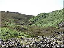 NY9630 : The cleugh of Manorgill Sike (3) by Mike Quinn