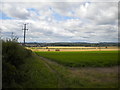 Fields west of Stanker Hill Farm