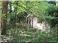 Iver: Overgrown remains of abandoned bungalow