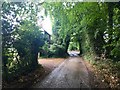 Scragged Oak Road, near Detling