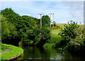 Canal, woodland and pasture near Swindon, Staffordshire