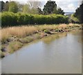 River Parrett