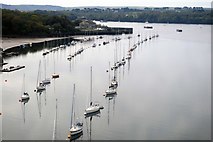 SX4358 : Boats moored on the Tamar by N Chadwick