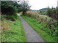 The Speyside Way near Craigellachie