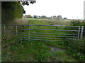 Farmland, Chilmington Green Road