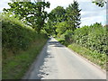 Lane towards Ryton Grove