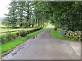 Minor road to A713 at Holm of Daltallochan