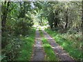 Enclosed track to Grennan Mill Bridge