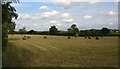 Farmland near Lodge Farm