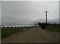 Farm track and Polytunnels at Mansefield