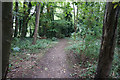 Path towards Stallingborough Road, Healing