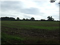 TG3402 : Young crop field near Carleton St Peter by JThomas