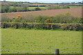 Cornish landscape