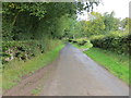 Road at Myres Cleuch