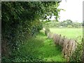 Footpath to Crakemarsh