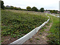 Land behind the King?s Head, Woodchurch Road