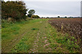 Track leading to Stallingborough