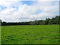 Barn Field