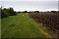 Path leading to Stallingborough