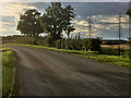 Power Lines Crossing Mears Ashby Road