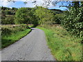 Road to Puddockhole and Netermains near Redbrae Wood