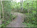 Footbridges in the woods south of Essworthy