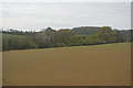 Cornish farmland