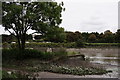 Slipway At Mortlake