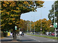 Autumn colours along the A6 Loughborough Road