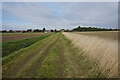 Farm track heading to Immingham