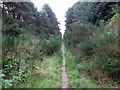 Disused railway line near Burghead