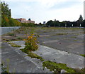 Derelict ground next to the Grand Union Canal