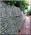 Flint Wall, Manor Gardens