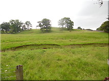 SD8044 : Field near Twiston Beck, Lancs by David Hillas