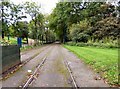 Tramlines into Heaton Park