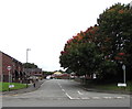 Autumn colours, Frederick Street, Ince