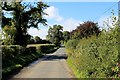 York Road heading West towards Healaugh