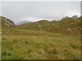 NM7872 : Deer pass on slopes above Loch Shiel by ian shiell