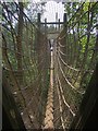 Rope walk over bear enclosure at Wildwood Discovery Park